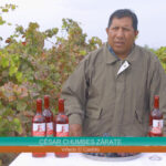 Antamina ayuda a los vinicultores de Ancash,