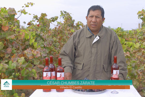 Antamina ayuda a los vinicultores de Ancash,