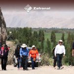 Zafranal en Arequipa