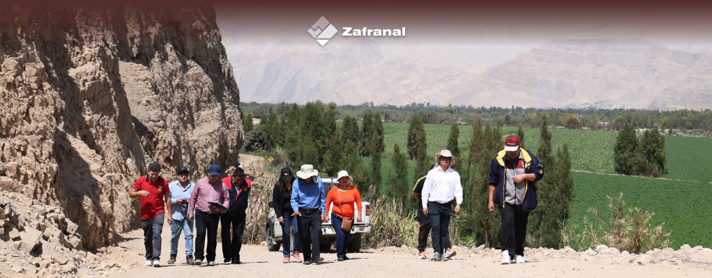 Zafranal en Arequipa